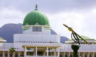 Senate Considers Bill To Stop Employers From Casualizing Graduates