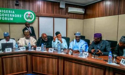 How We Can Fight Insecurity - Governors