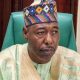 Two Borno Councils Under Boko Haram Terrorists Control - Zulum