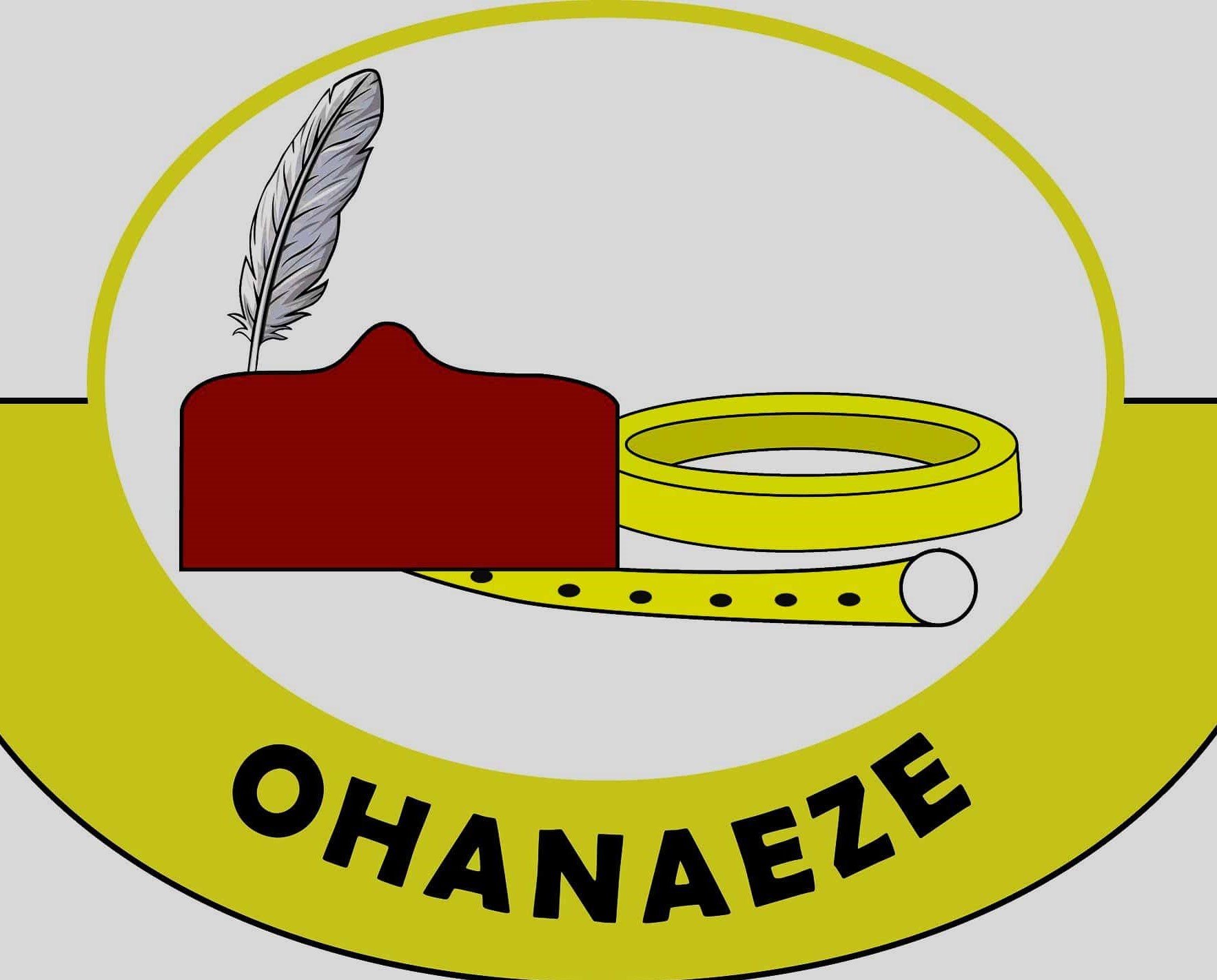 Ohanaeze Urges Igbo Presidential Aspirants Against Settling For Running Mate Slot