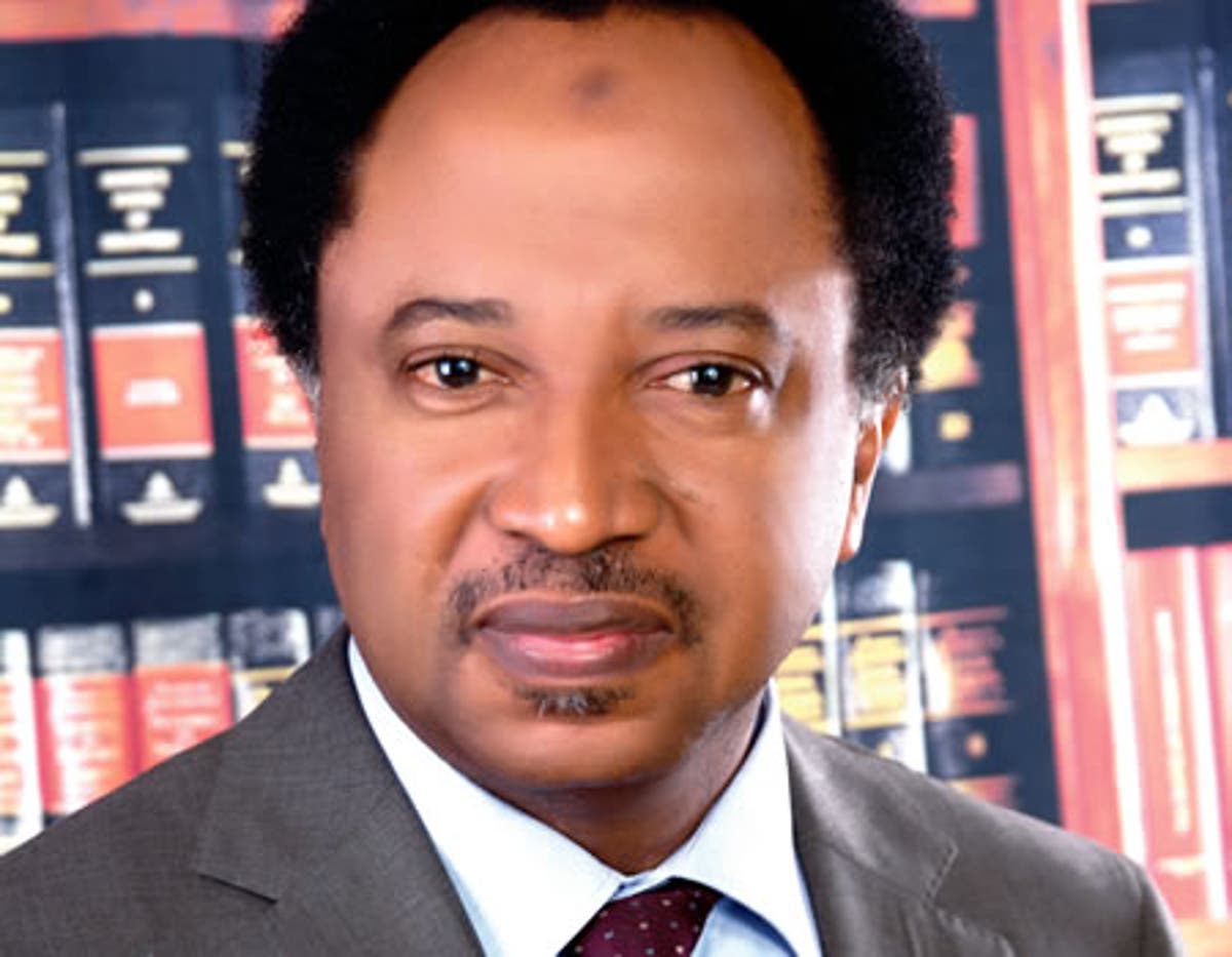 Govt Knows Terrorists, They Should Be Arrested - Shehu Sani