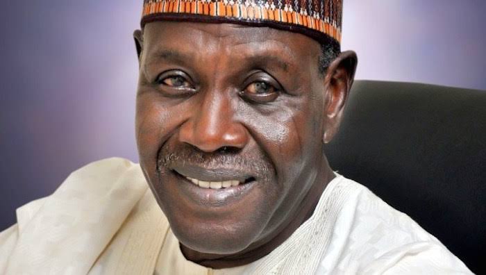 Govt Recognises Babagana Kingibe As Vice-President