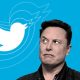 Elon Musk Looks For Twitter CEO 'Foolish Enough' To Succeed Him